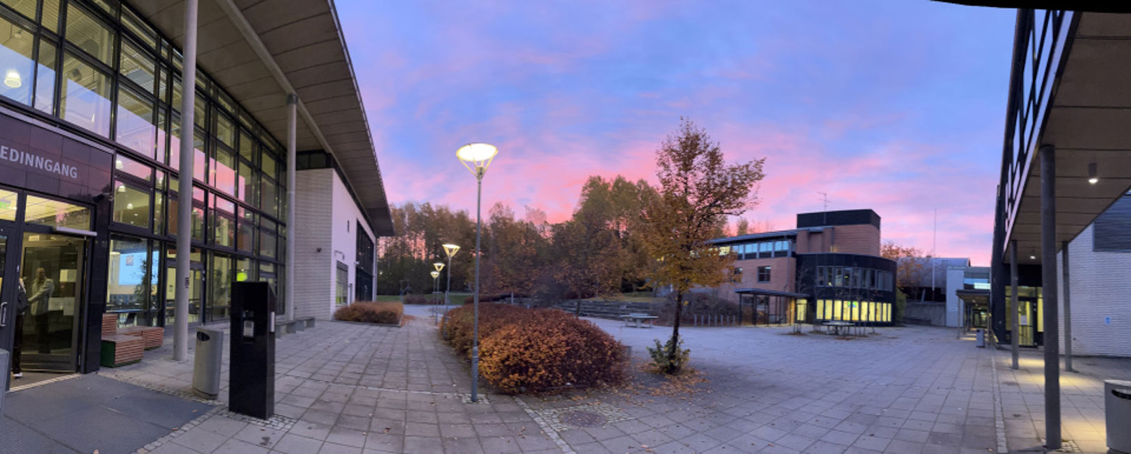 en mursteinsgang med trær og bygninger