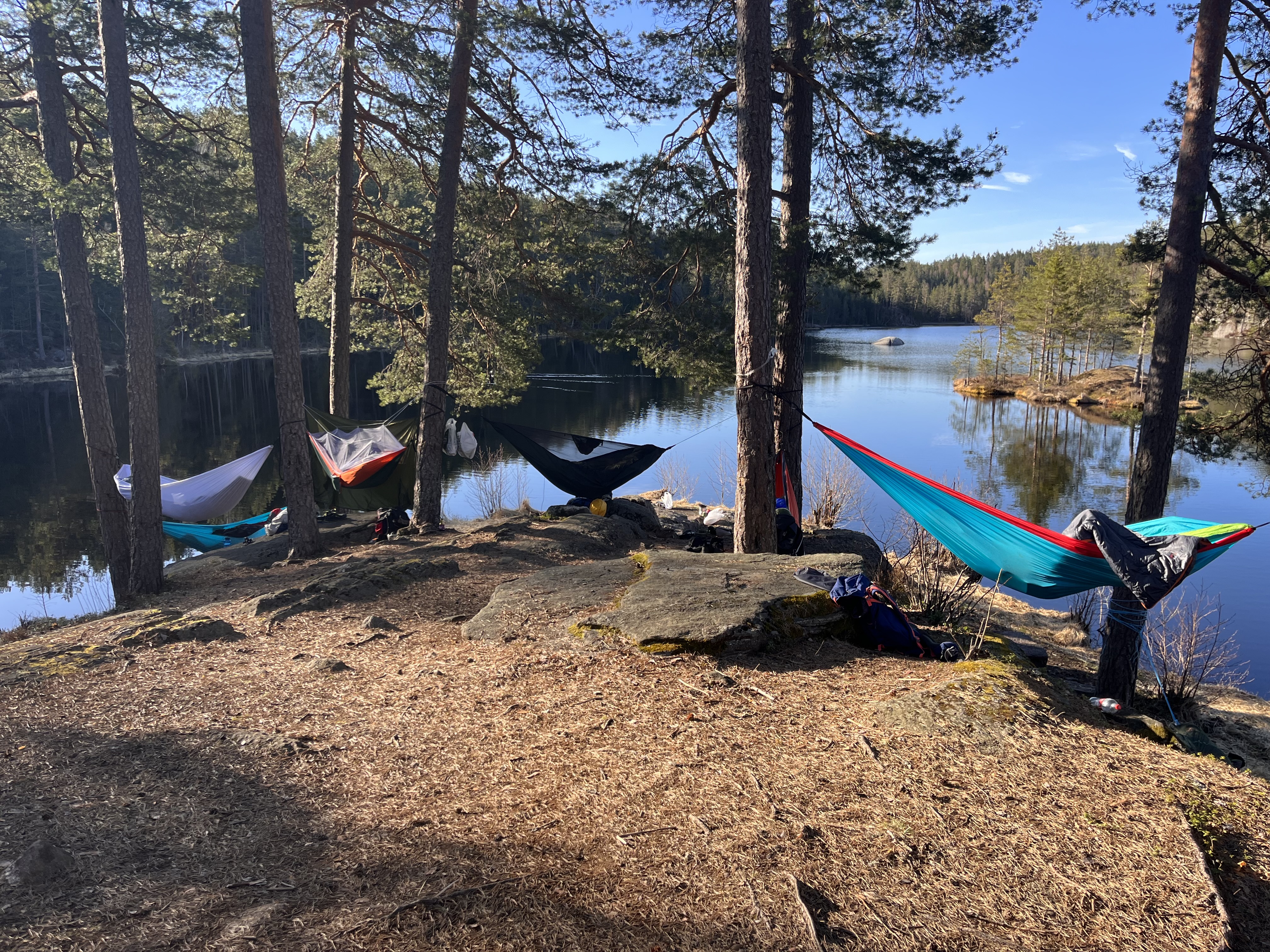 En gruppe båter på land
