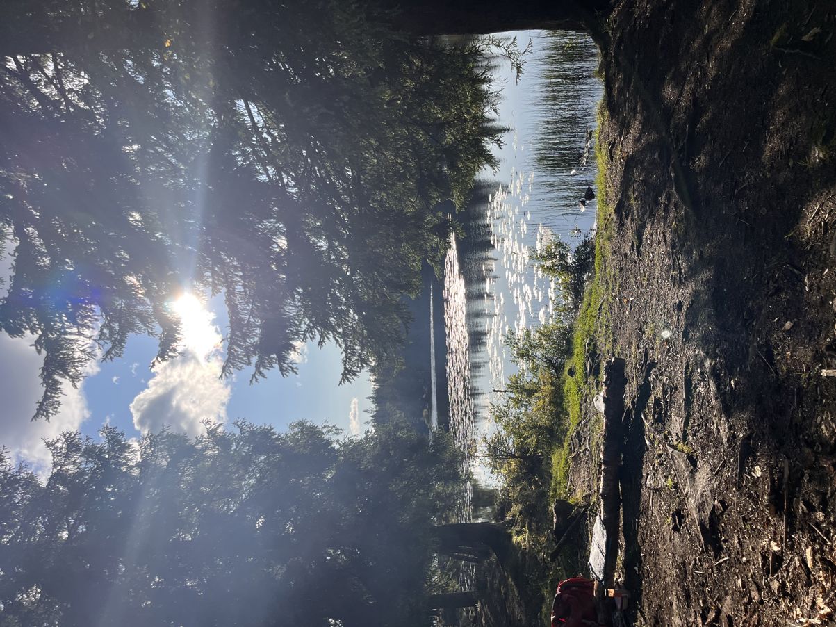 En gruppe mennesker som går på en sti mellom klipper