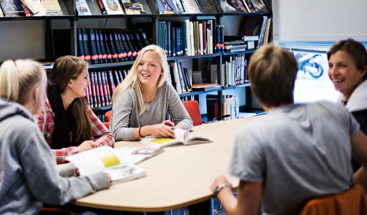Elever i læriingssituasjon Elever i læriingssituasjon