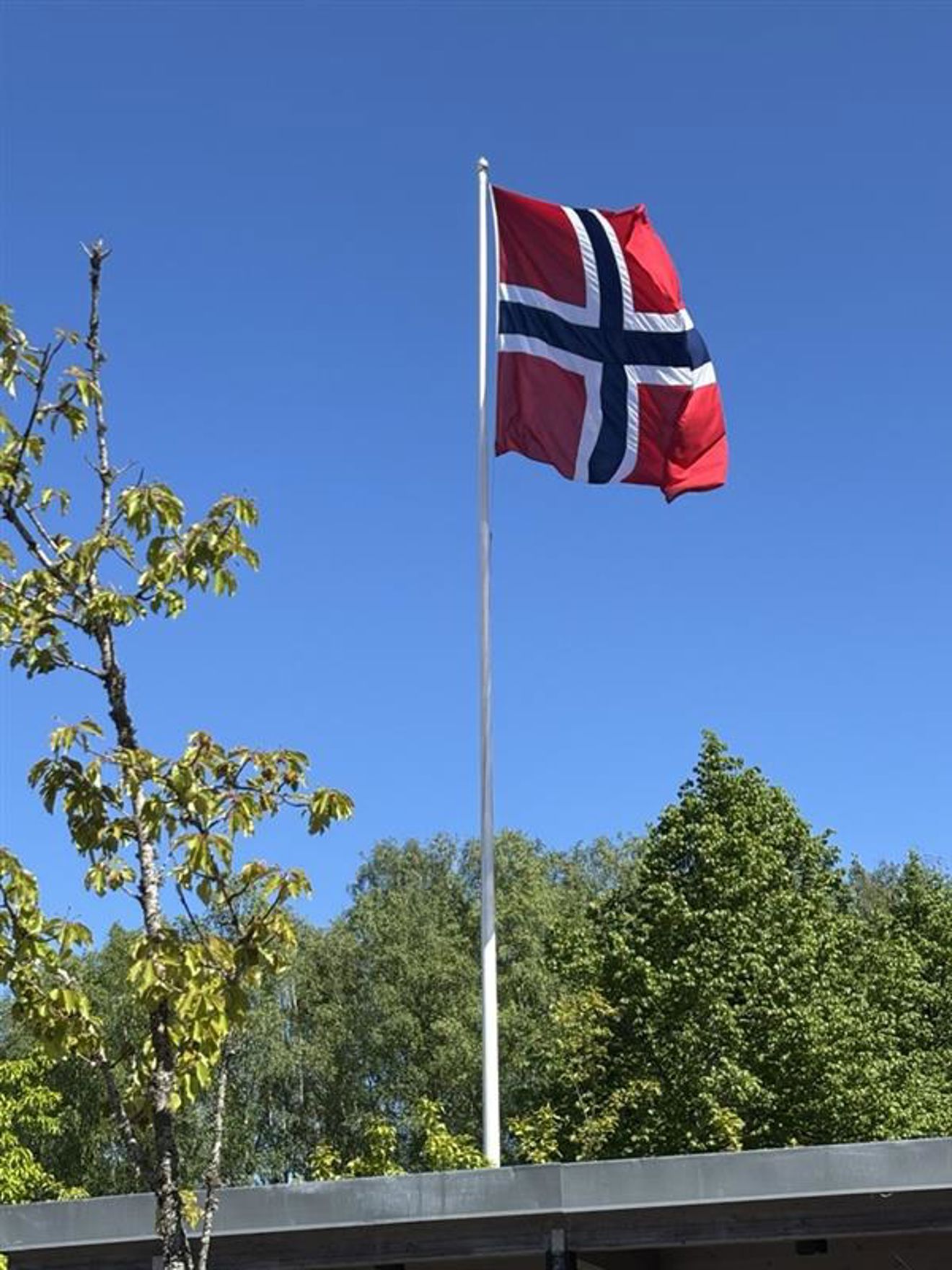 et rødt og hvitt flagg på en flaggstang