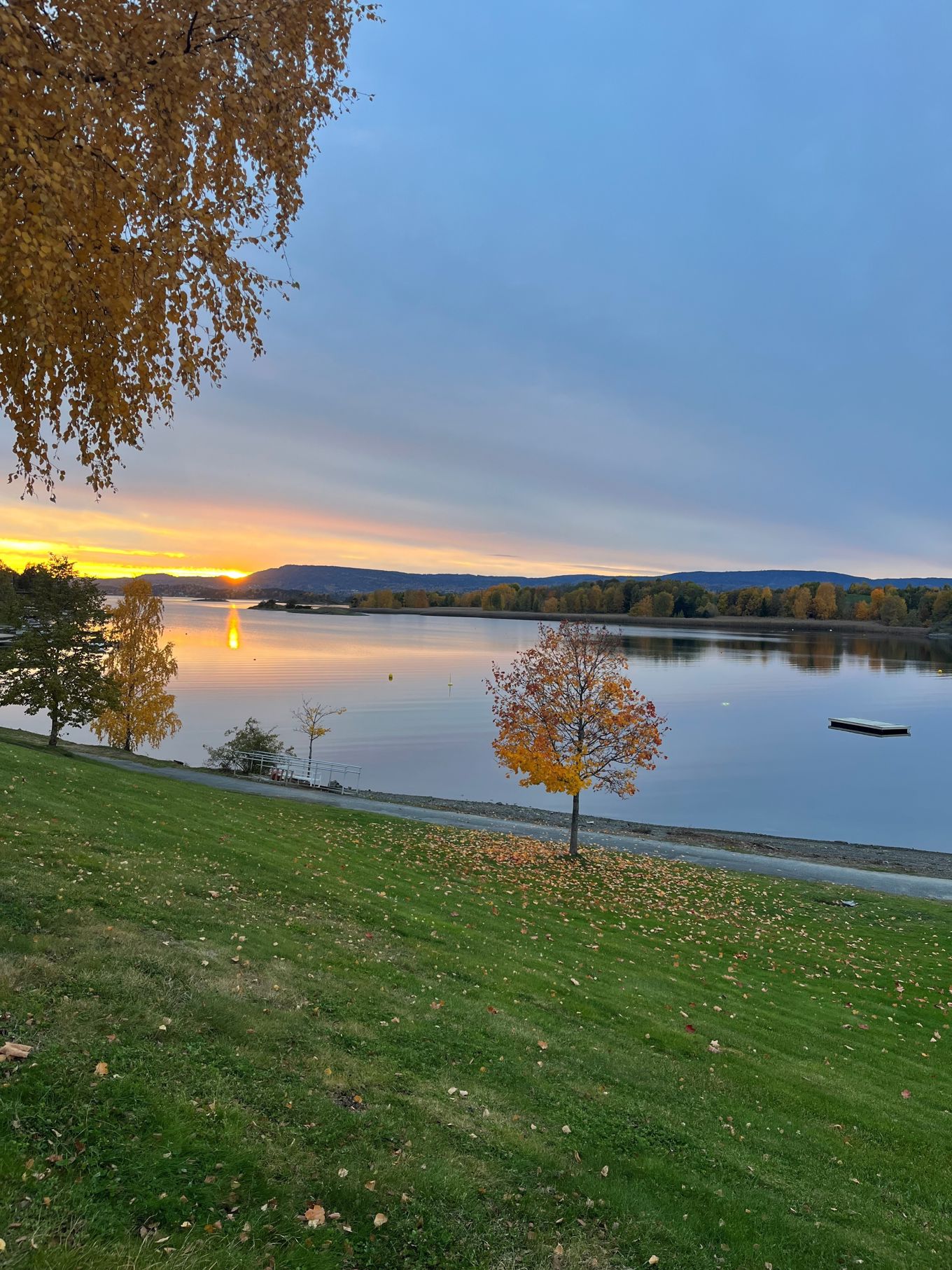 en vannmasse med gress og trær rundt