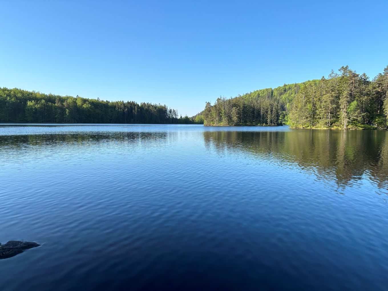 en innsjø med trær i bakgrunnen