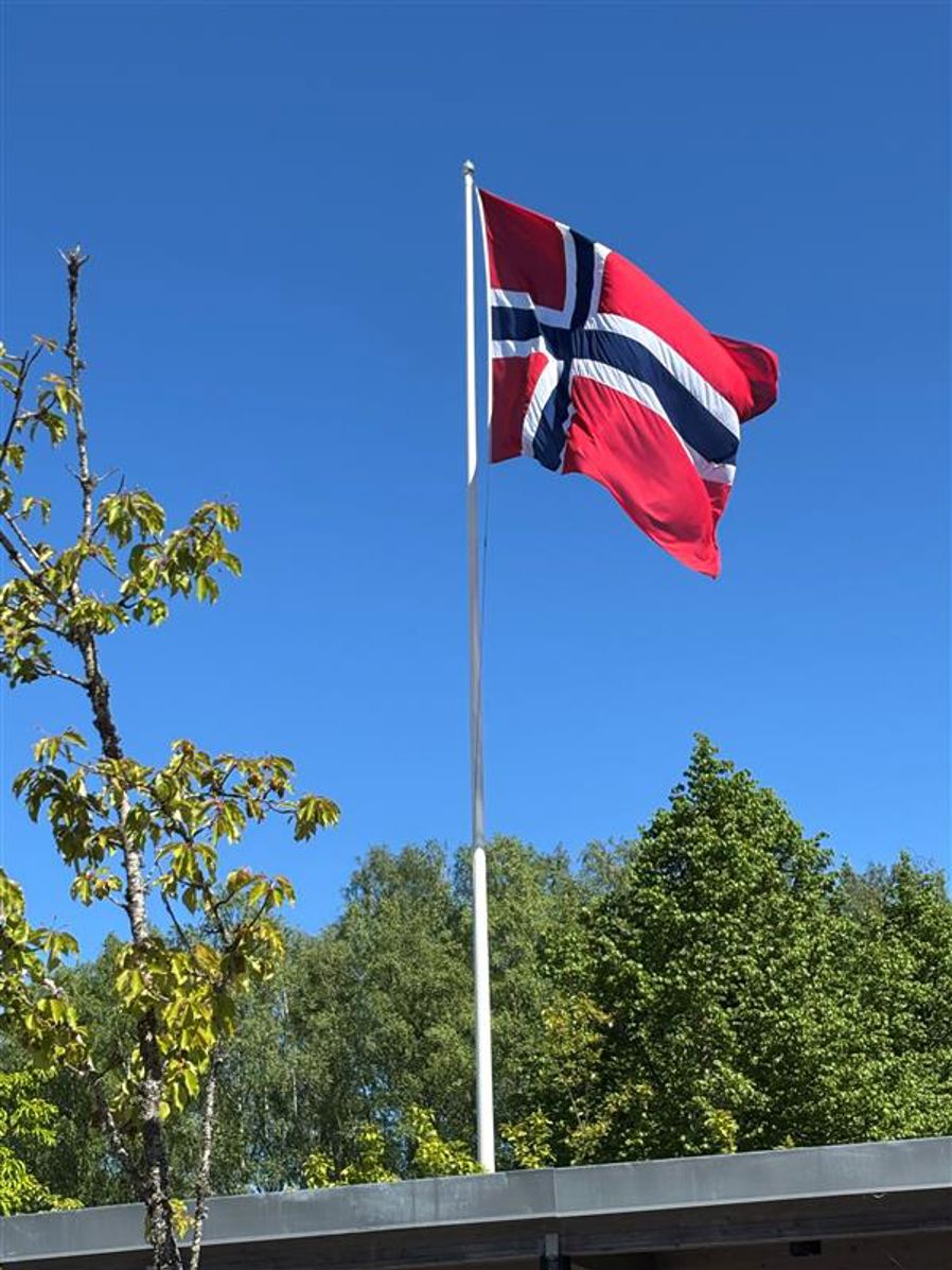 et flagg på en flaggstang