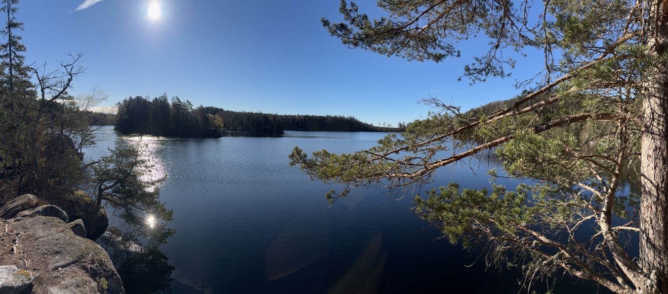 et vannområde med trær rundt seg et vannområde med trær rundt seg