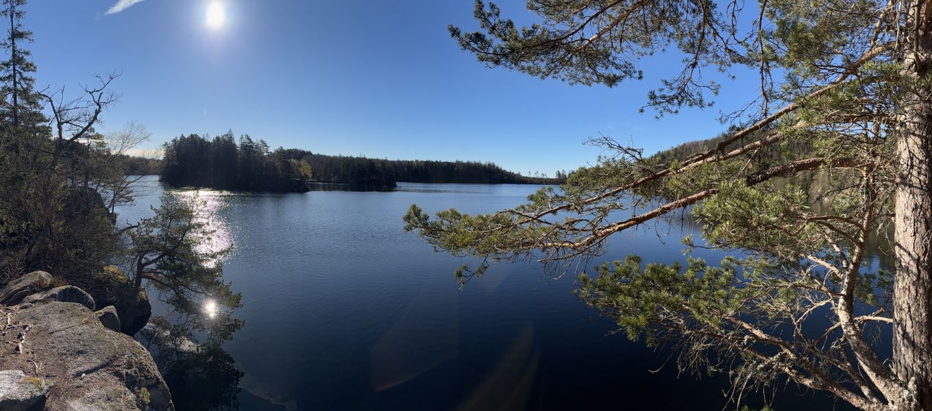et vannområde med trær rundt seg et vannområde med trær rundt seg