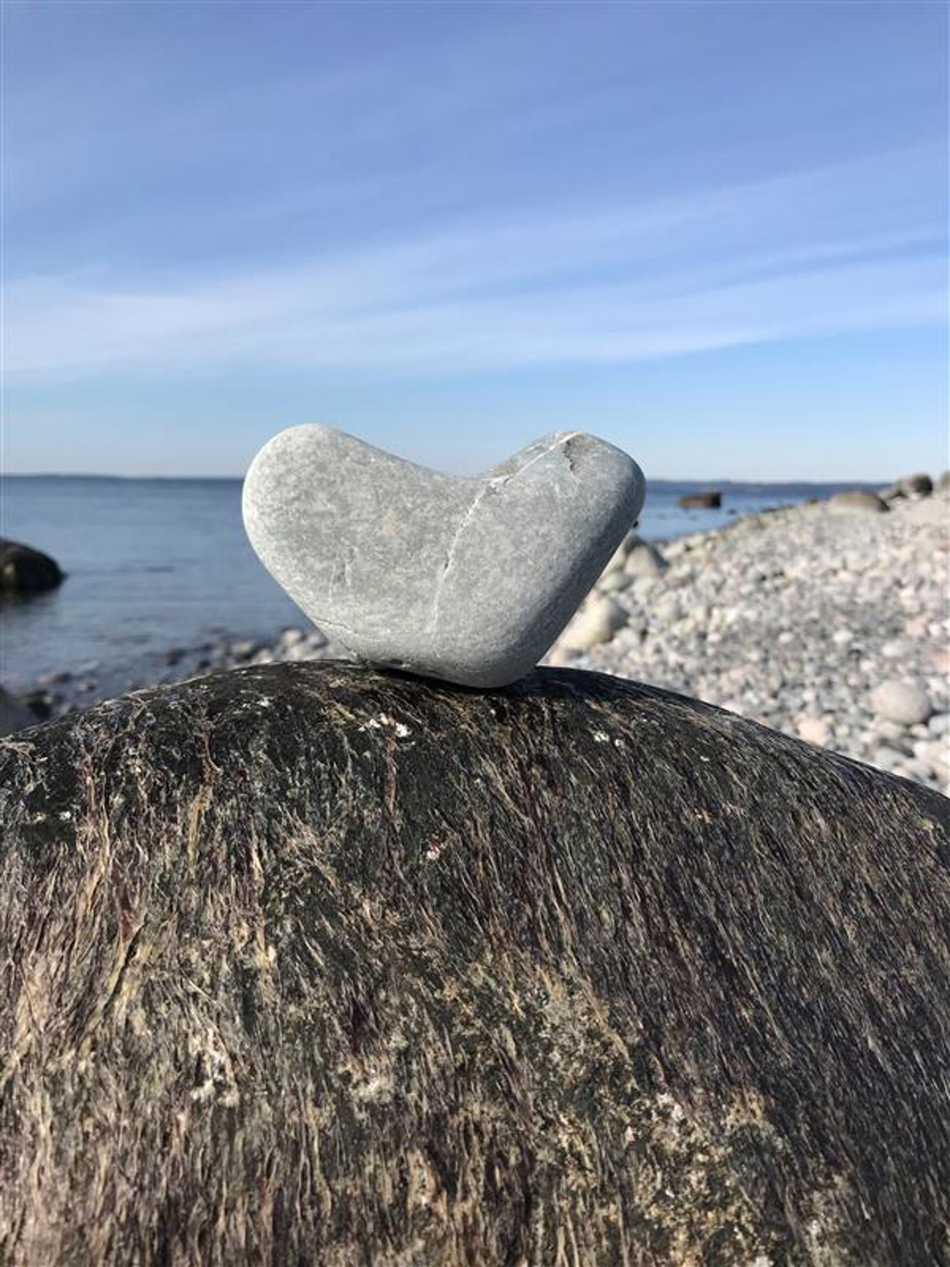 En stein på en strand En stein på en strand